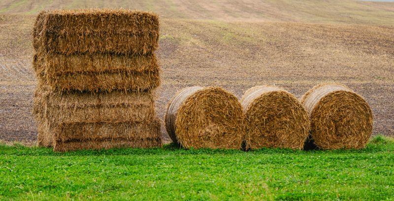 Stacked and round hay bales in a green field